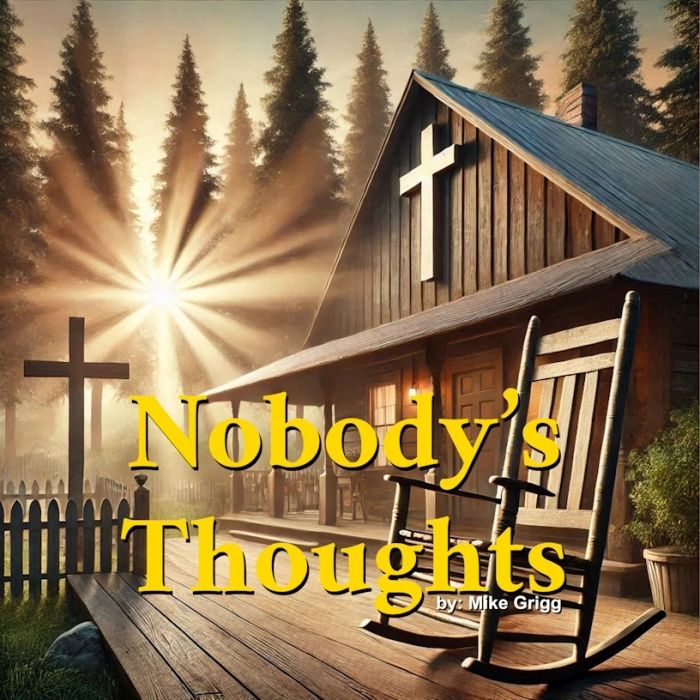 Nobody's Thoughts book cover